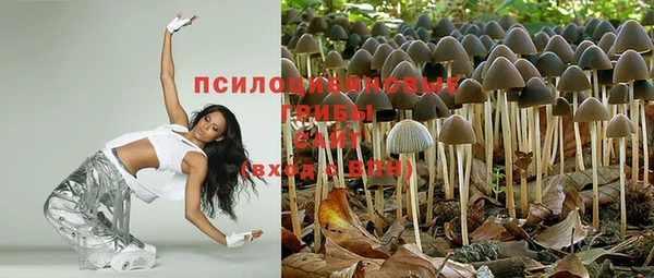 альфа пвп Куйбышев